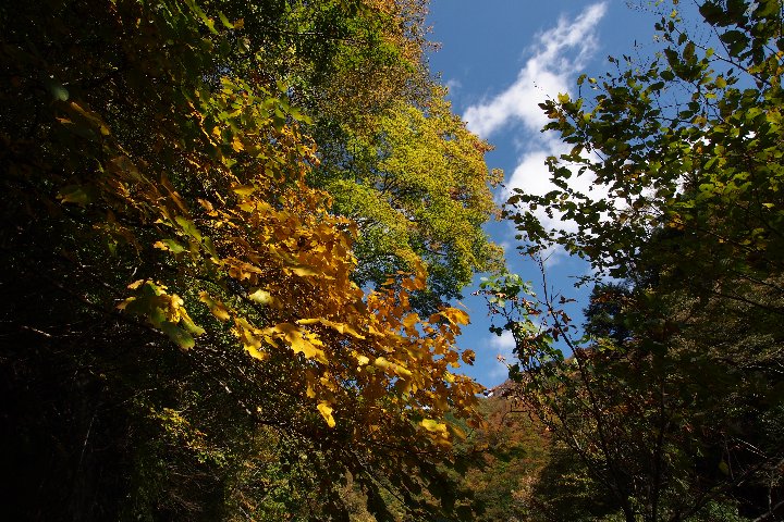 a0268412_23421185.jpg