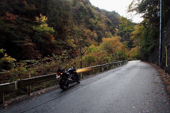 a0268412_23421668.jpg