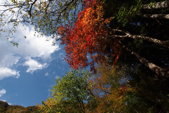 a0268412_23421869.jpg