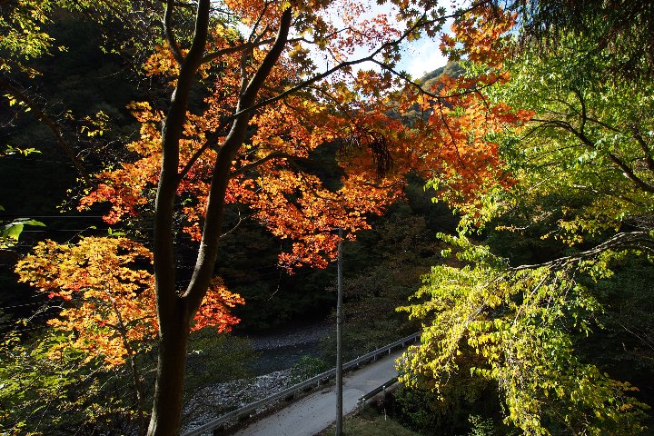 a0268412_23514943.jpg
