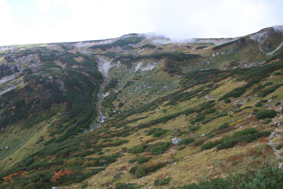 b0093515_22125578.jpg