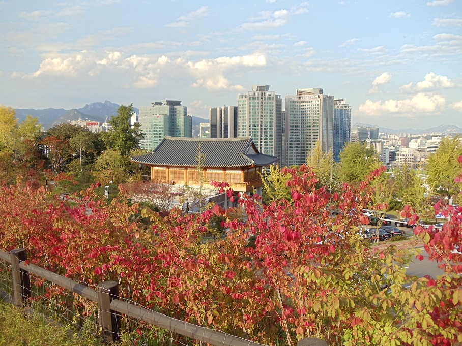 a0279116_1134874.jpg