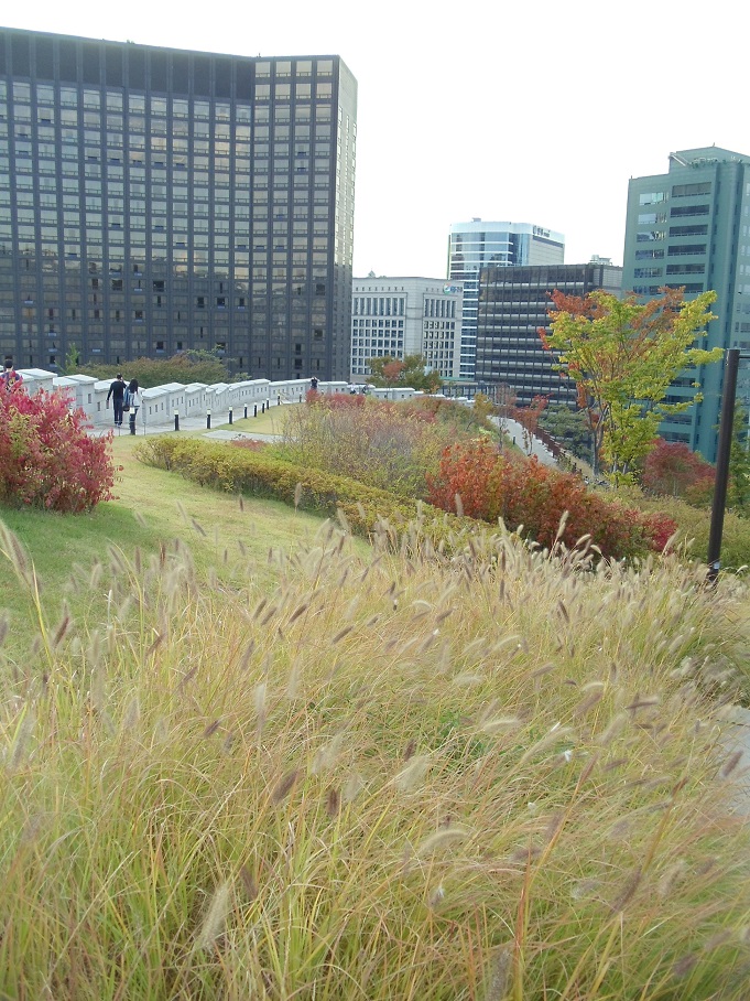 a0279116_11391879.jpg