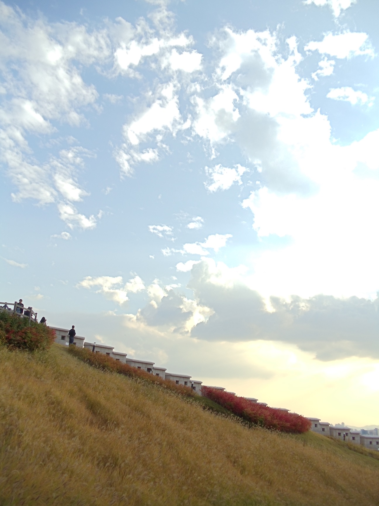 a0279116_121318.jpg