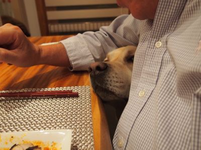 週末にお友達が遊びに来たよ_e0192217_9241839.jpg