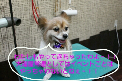 明日で。。。_b0130018_2333476.jpg