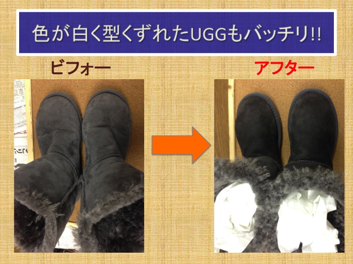 今週のお花&セール情報_a0200423_111427100.jpg