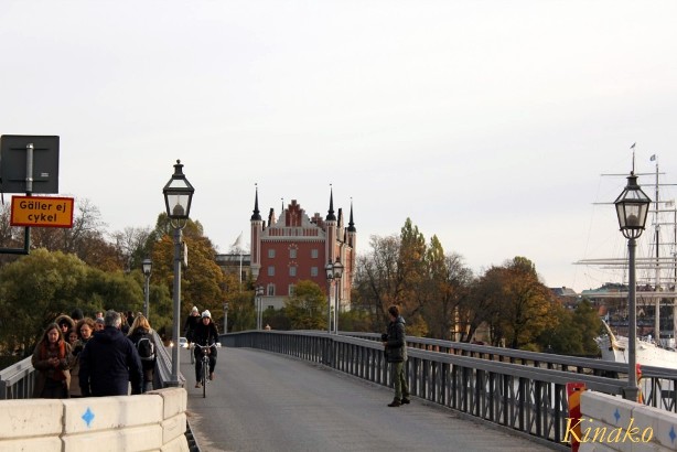 e0250023_95099.jpg