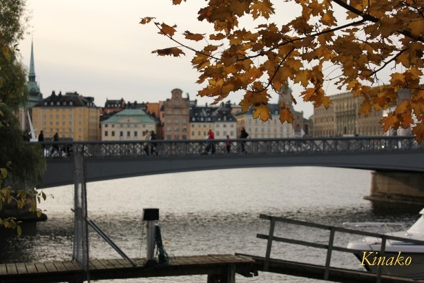 e0250023_98915.jpg