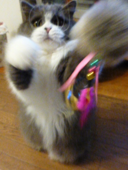 猫のおもちゃ_e0237625_21401077.jpg