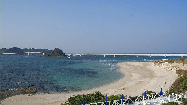 ２００６　角島のダルマギク－２０１３_b0211627_2264170.jpg