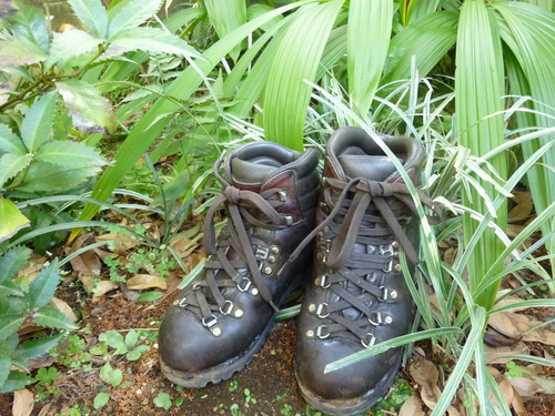 お帰り、私の登山靴 : ぽつぽつ山レポ、ときどき休み、ところにより道草