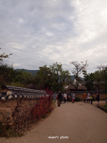 b0197736_13302733.jpg