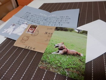 d0169340_23193491.jpg