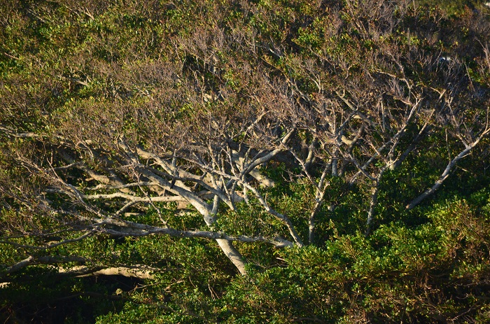 b0288942_17105375.jpg