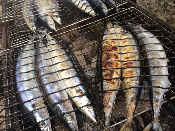 旬の生秋刀魚を食べる。_d0063745_149334.jpg