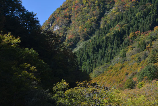 c0093046_76874.jpg