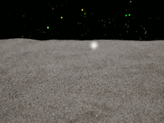 e0005548_01484.gif