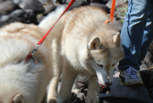 どらごん家と行く真鶴日帰りの旅②_e0121548_18313240.jpg