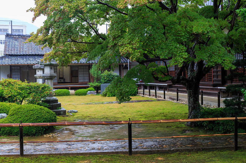 雨の日の源光庵・ホトトギス_f0155048_204306.jpg