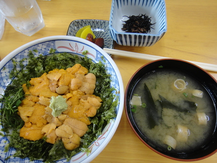 2013/8月出雲・松江旅行記：その３　～日御碕神社～_d0225149_1062966.jpg