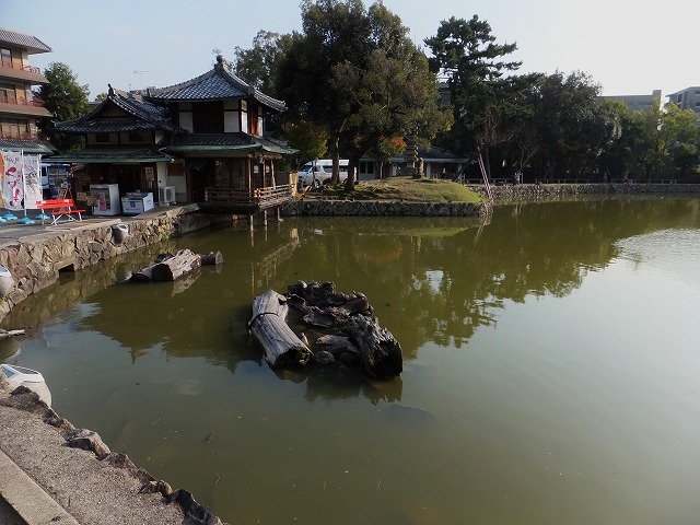 d0048350_2125599.jpg