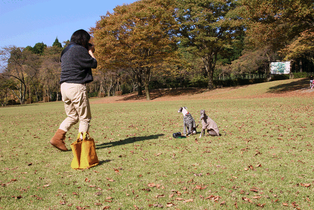 f0108553_1933918.gif