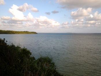 沖縄旅行記・3_a0061057_01495.jpg