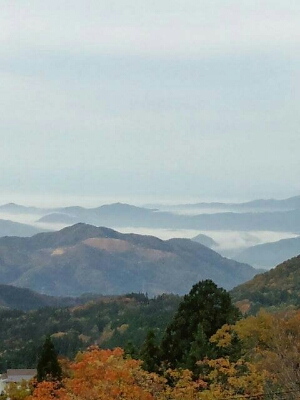 e0227957_10315594.jpg
