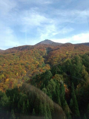 e0227957_10323199.jpg