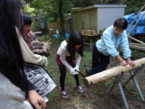 岬高校：平成２５年度山海人プロジェクト２０１３（第１学年）　　in   孝子の森　  by  (TATE-misaki)_c0108460_2121785.jpg