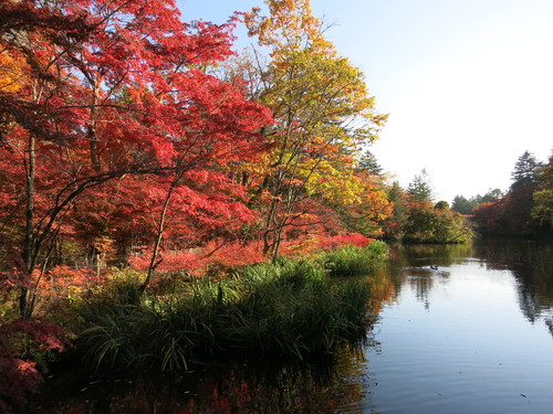 f0236260_10305814.jpg