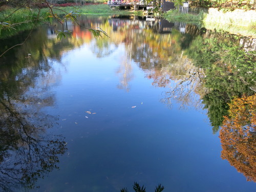 f0236260_10354486.jpg