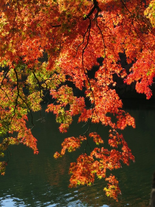 f0236260_10393117.jpg