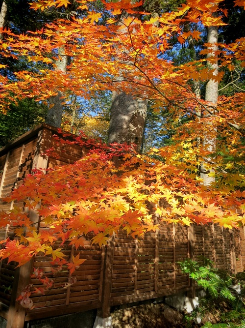 f0236260_10412870.jpg