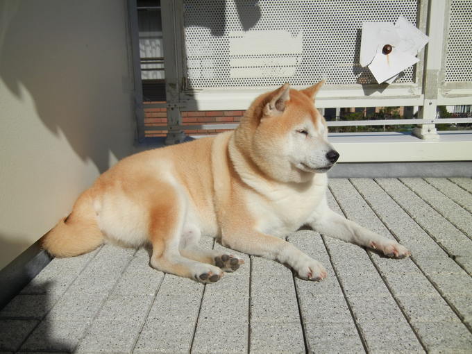 ’13,10,30(水)心もお空も晴天なり~!_f0060461_1019407.jpg
