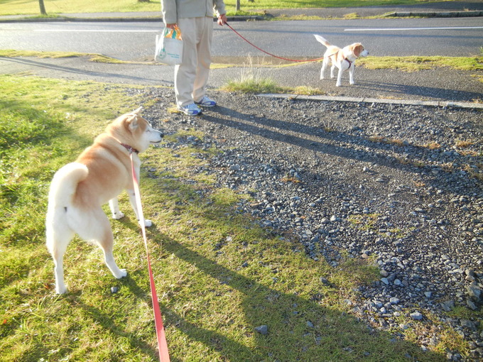 ’13,10,30(水)心もお空も晴天なり~!_f0060461_1031112.jpg
