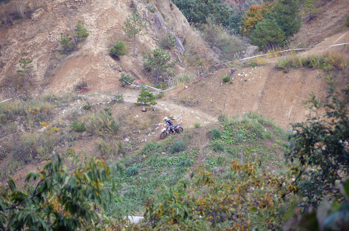 c0198263_20555775.jpg