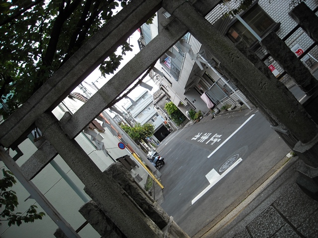 d0154964_19261514.jpg