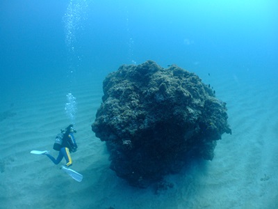 「サンゴ海へ!」_b0033573_2210199.jpg