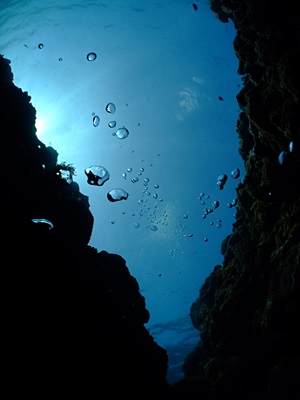 「サンゴ海へ!」_b0033573_22103457.jpg