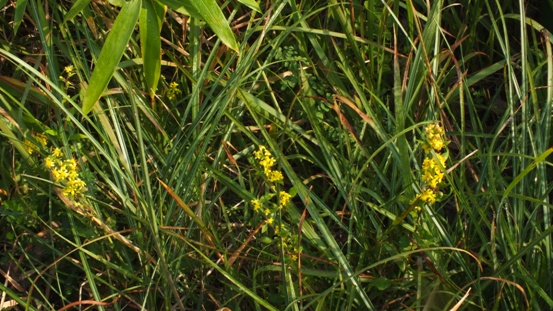 b0214473_19525297.jpg