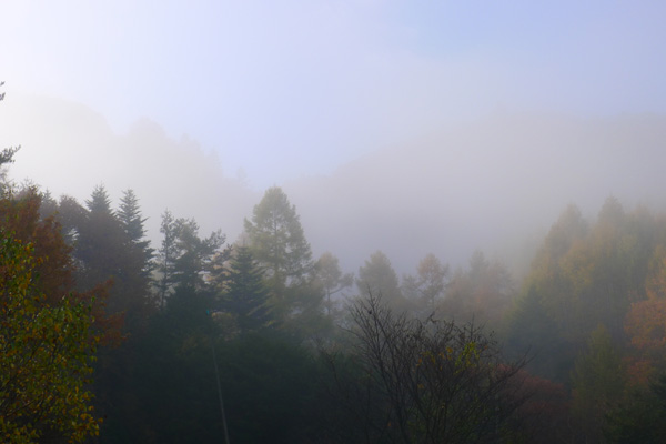 a0130586_11225660.jpg