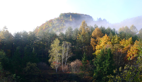 a0130586_11235290.jpg