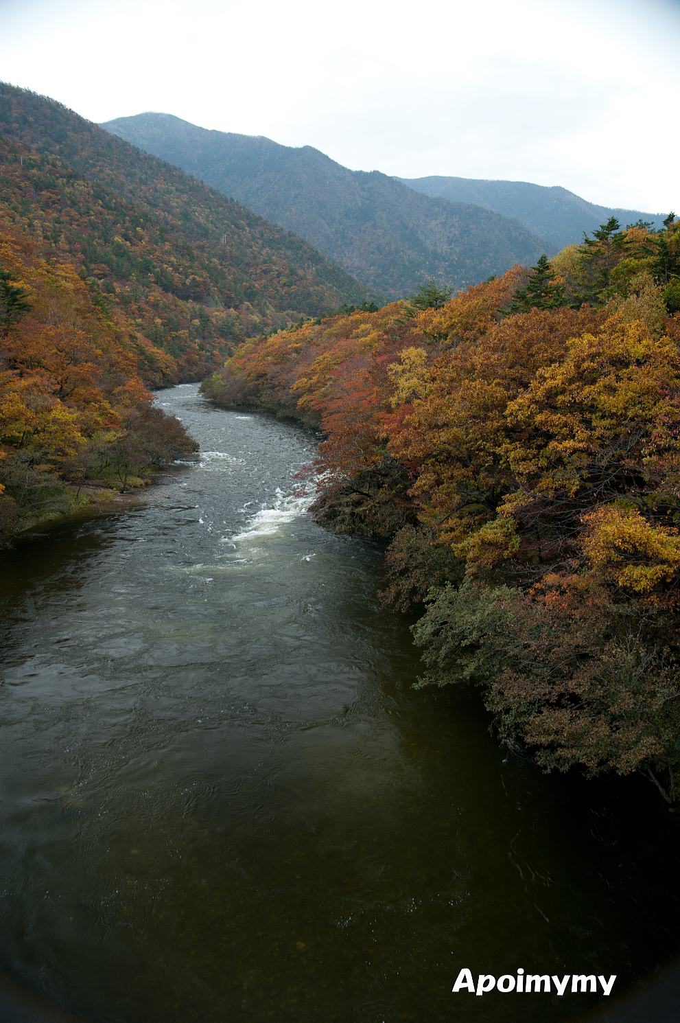 10/26 晩秋の幌満峡_e0218886_1701830.jpg