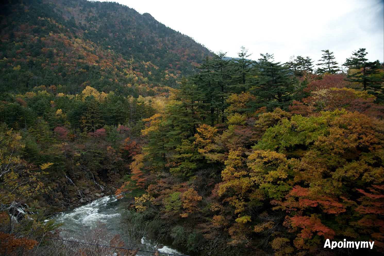 10/26 晩秋の幌満峡_e0218886_171668.jpg