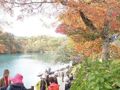 あるのは自然だけじゃない?_a0096989_187815.jpg