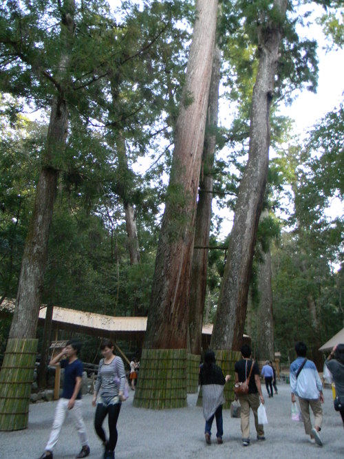 e0155589_18315359.jpg