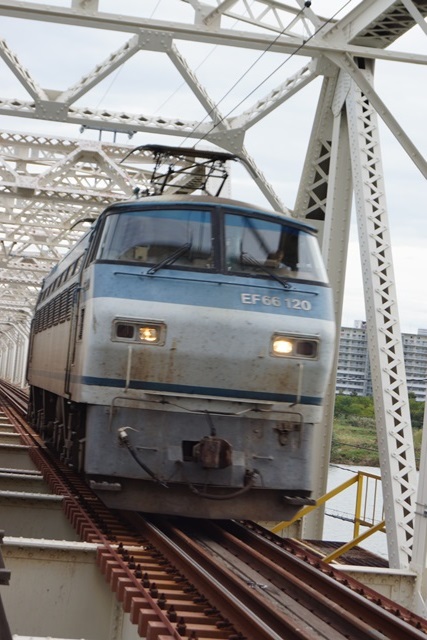 d0181492_21312348.jpg
