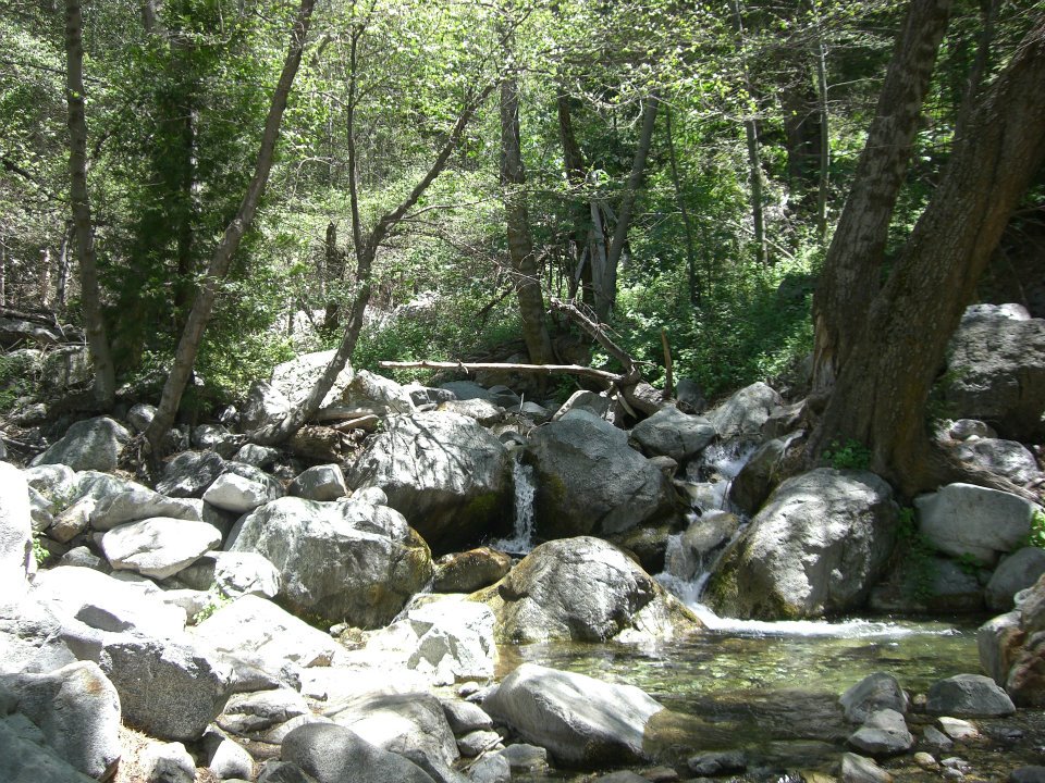 e0161692_1212228.jpg